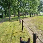 Haras Du Bois De * Formerie
