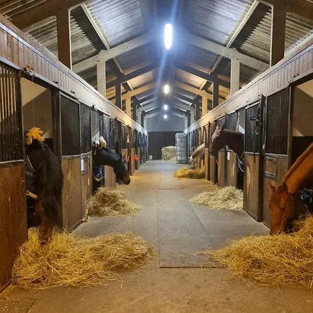 Haras Du Bois De * Formerie