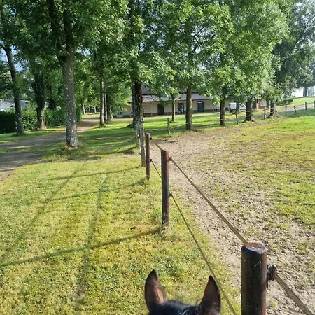 Haras Du Bois De * Formerie