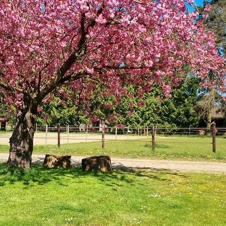 Haras Du Bois De Holiday home