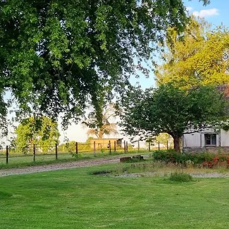 Haras Du Bois De