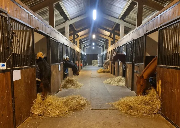 Haras Du Bois De * Formerie